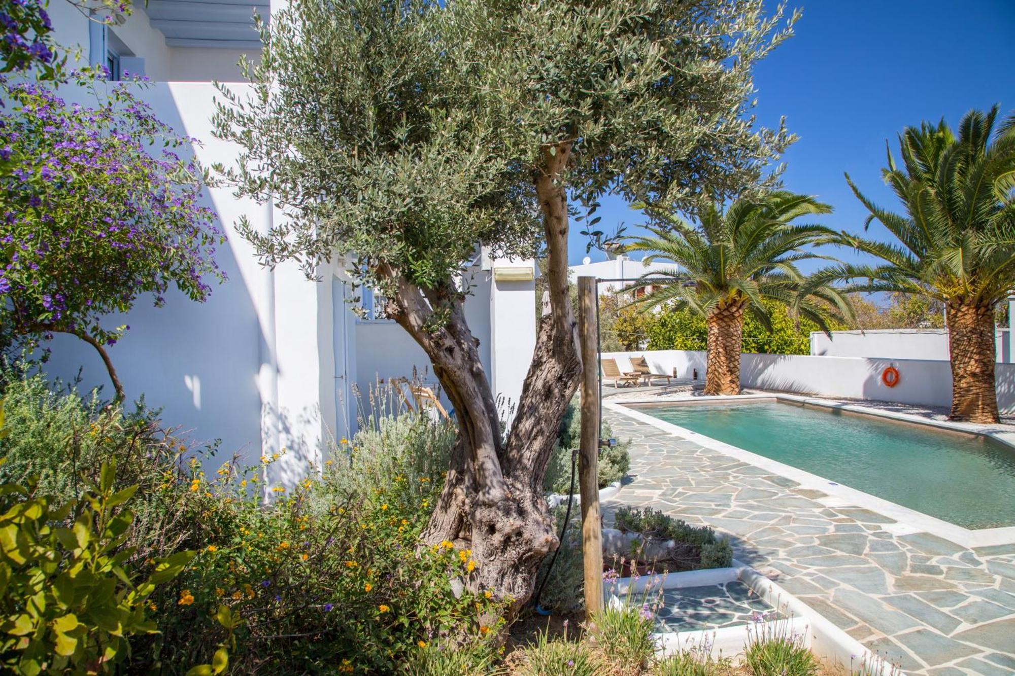 Amphitrite Apartments İskiri Dış mekan fotoğraf